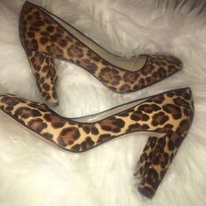 Ann Taylor • Leopard heels